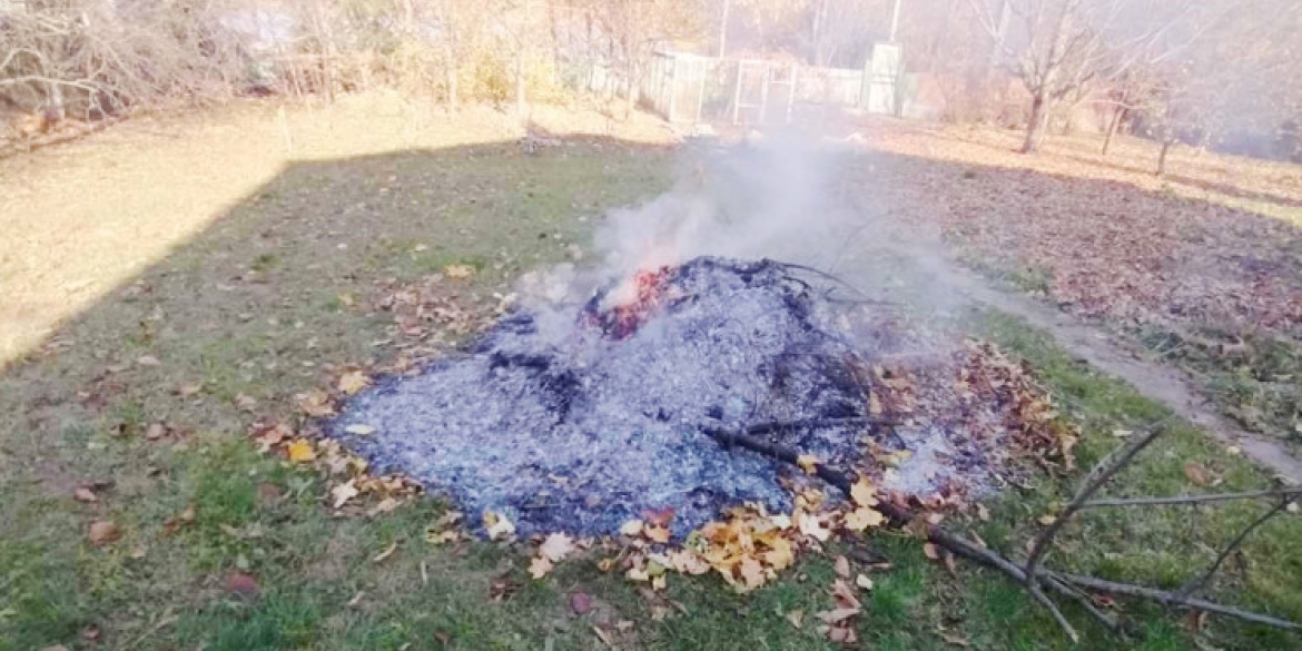 Вінничанам нагадують про заборону спалювання опалого листя