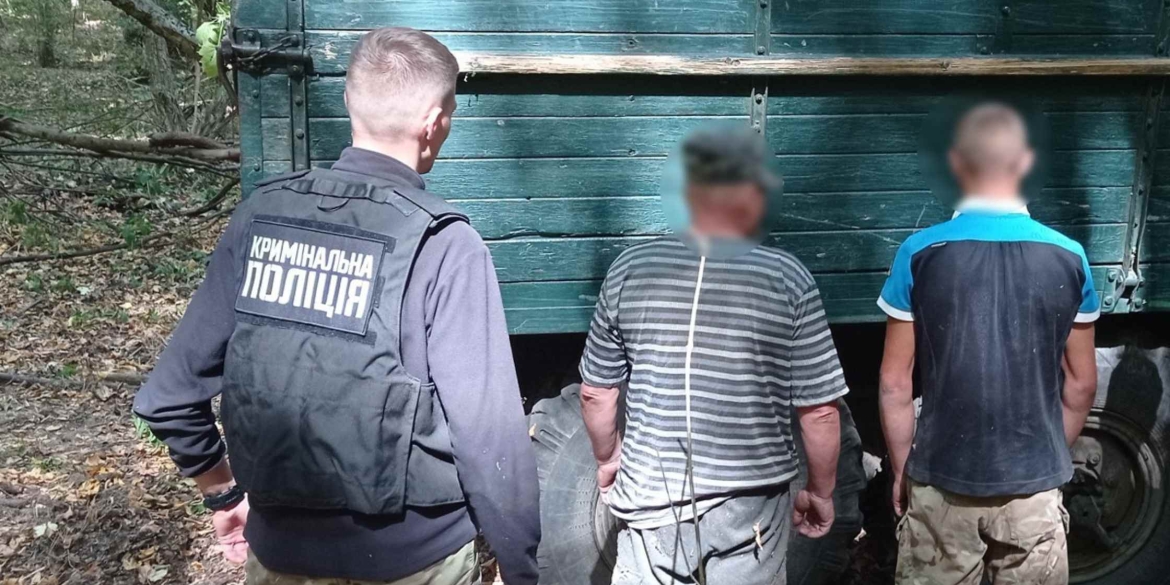 Спритники рубали дерева на дрова у природному парку в Гайсинському районі