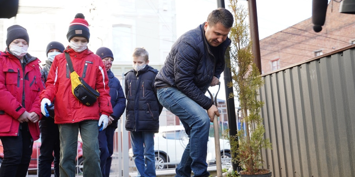 Цієї осені у дворах вінницьких шкіл висадять більше 250 дерев у рамках акції "Зелена хвиля"