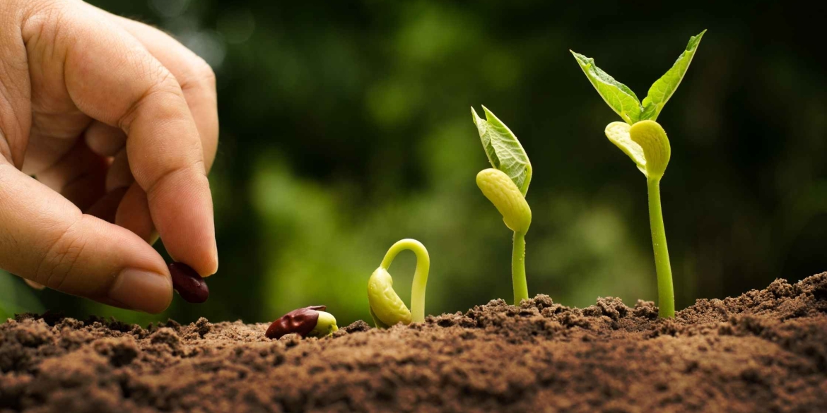 Стартапи Вінницького аграрного університету перемогли на International Global Innovation Research