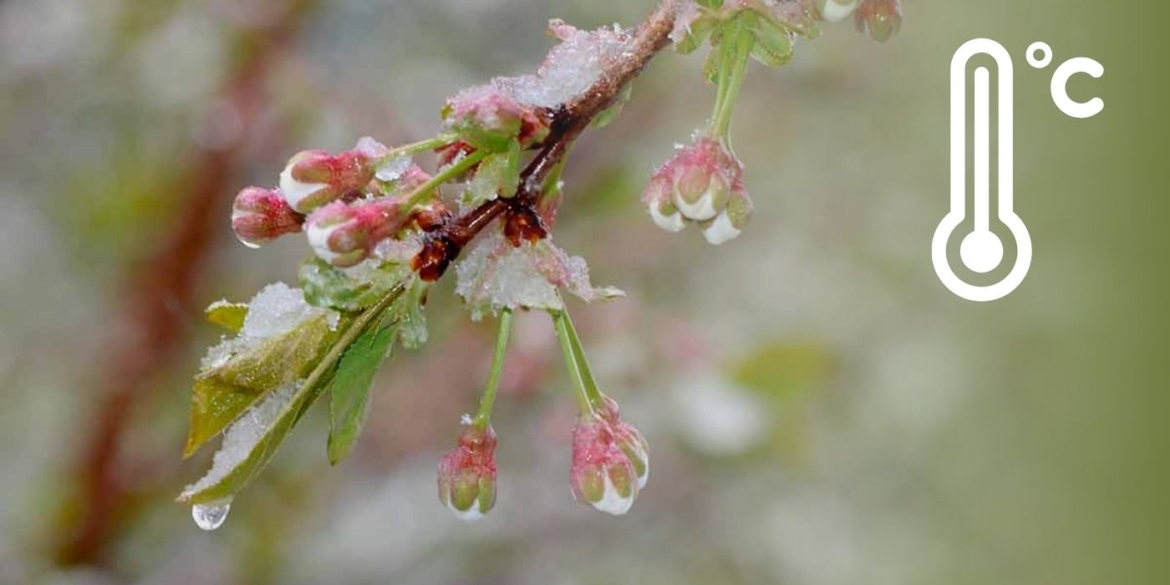Синоптики дали невтішний прогноз на Вінницю насуваються дощі, поривчастий вітер і заморозки