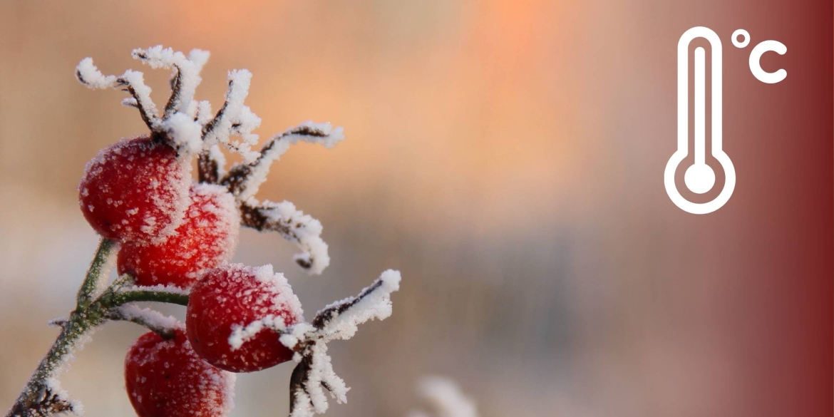 Синоптики обіцяють 27 березня у Вінниці без опадів, але з морозом