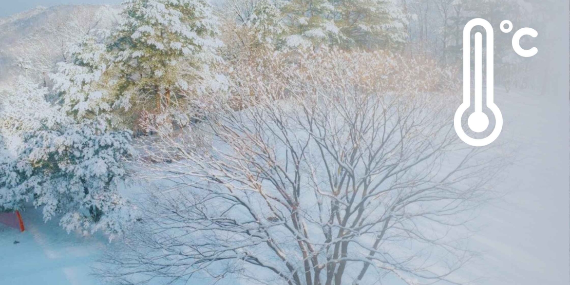 Синоптики попередили снігопади на Вінниччині ще триватимуть, на дорогах ожеледиця