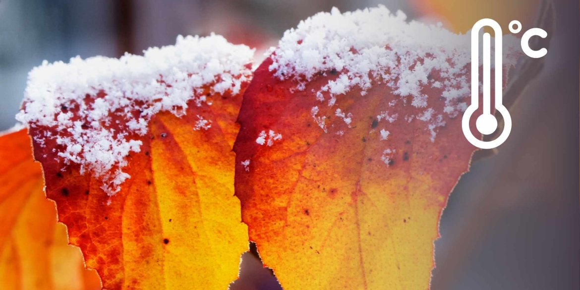 Синоптики попереджають 23 листопада у Вінниці - мокрий сніг та ожеледиця на дорогах