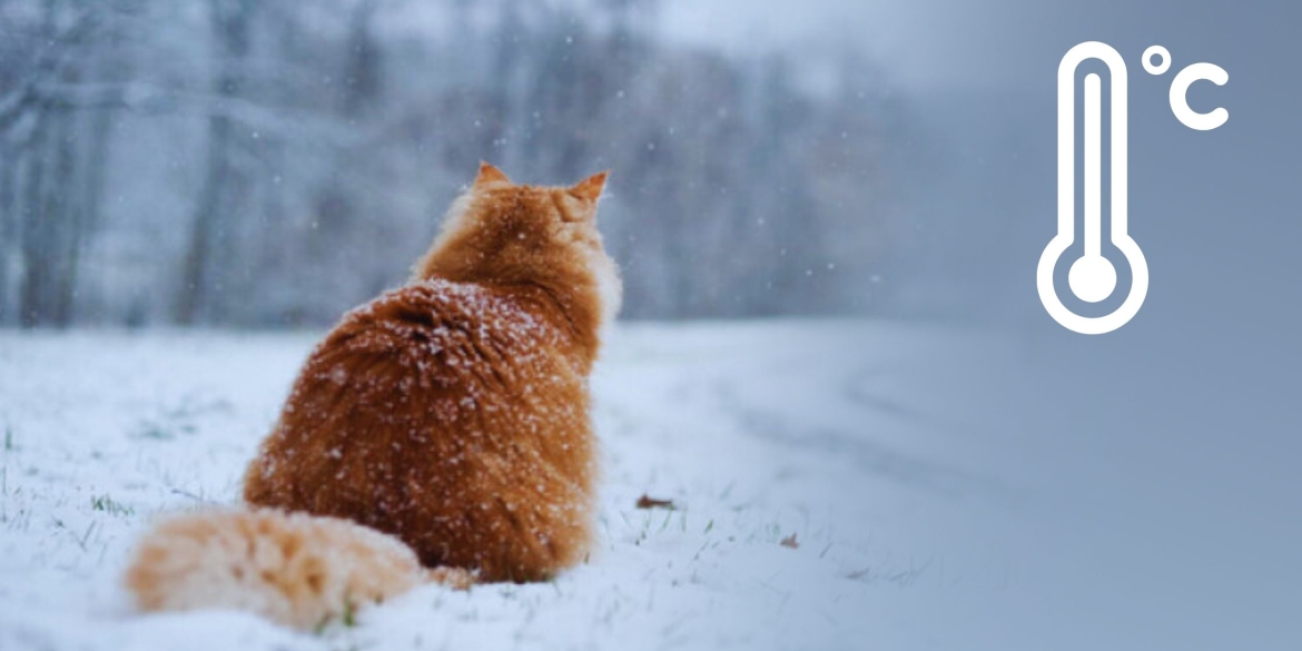 Синоптики попереджають на Вінниччину насуваються ще дужчі морози