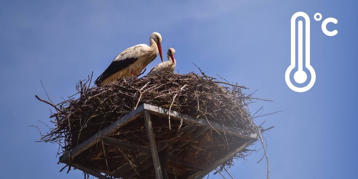 Синоптики попереджають вінничан про мінливість погоди у березні