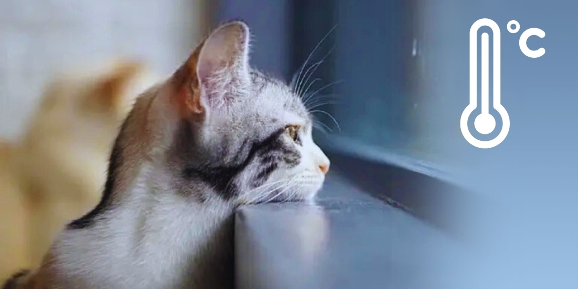 Синоптики розповіли коли вінничани відчують перші ознаки справжнього потепління