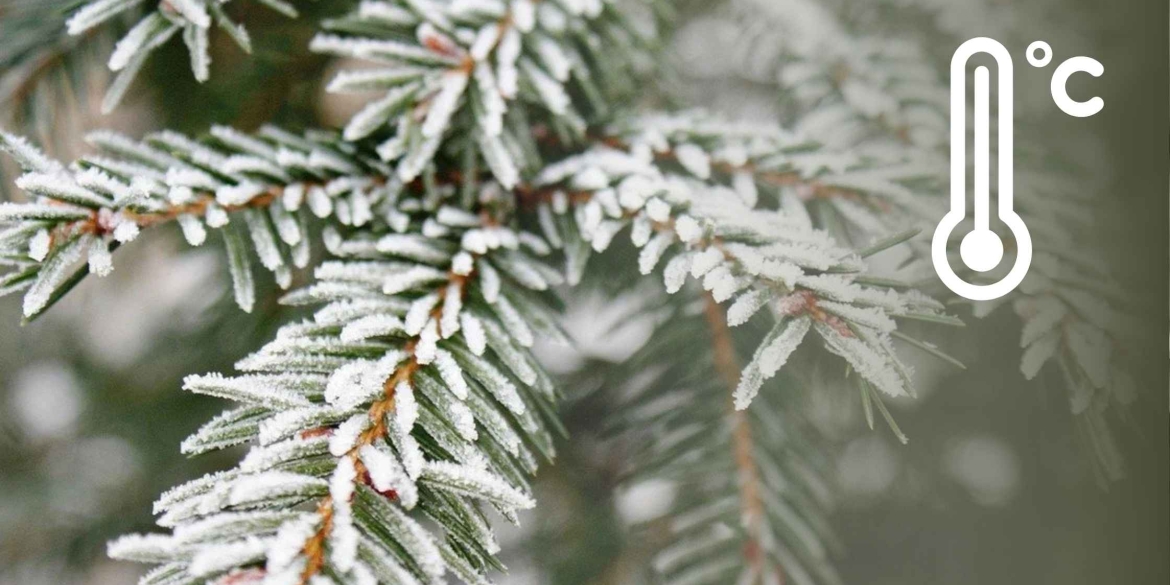 Синоптики визначились, коли буде пікове грудневе похолодання на Вінниччині