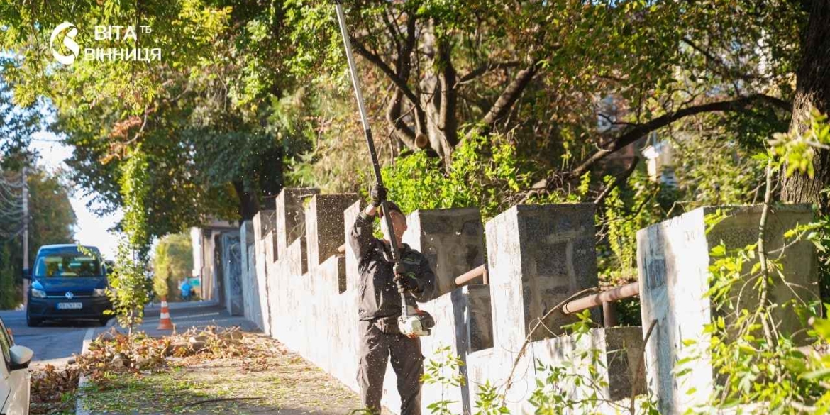 Техніка не могла дістатися — допомогли люди у Вінниці розчистили прибережну зону скверу «Кумбари»