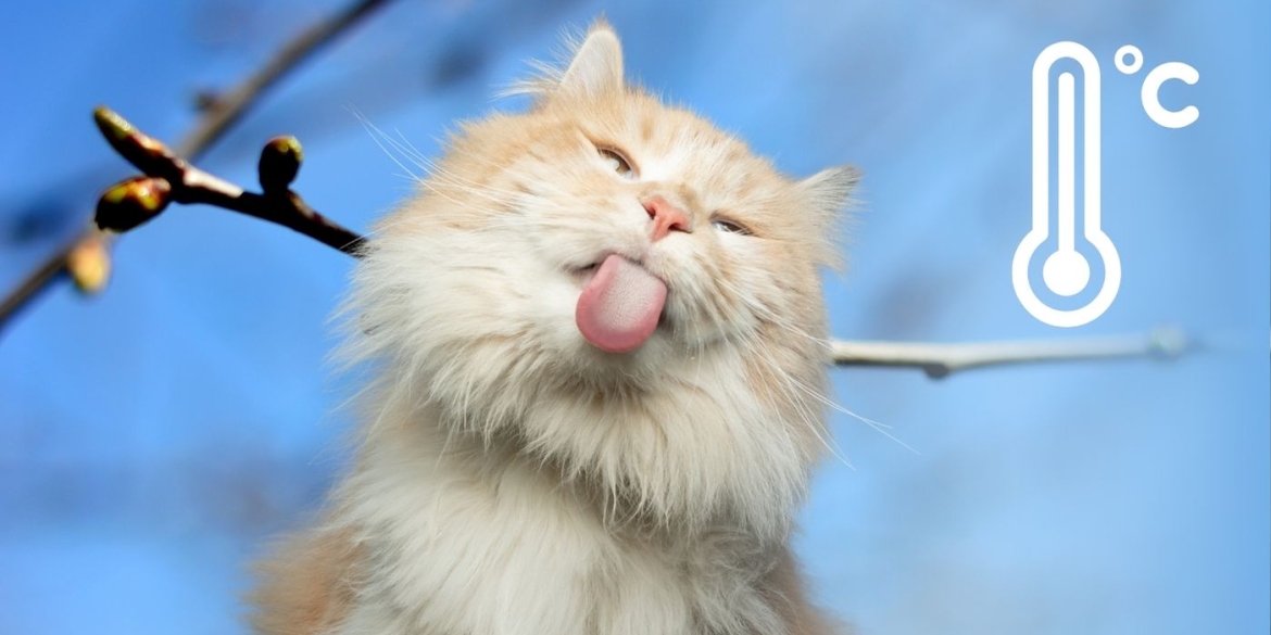 Температура у Вінниці підскочить вище норми синоптики кажуть, що чекати на вихідних