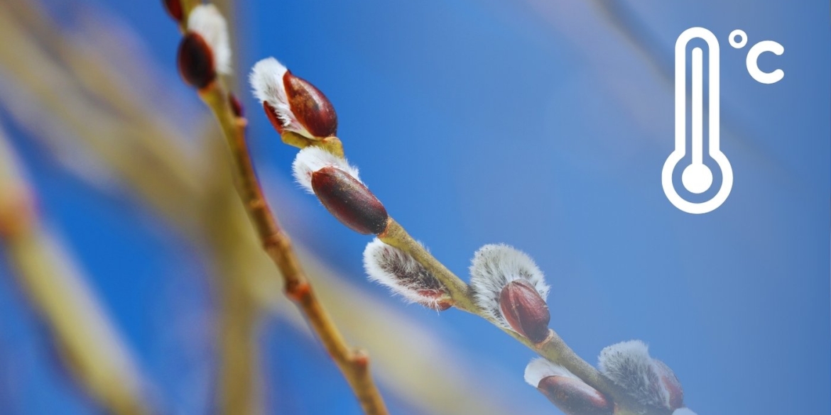 Теплінь, майже як влітку чи довго протримається перше весняне потепління у Вінниці
