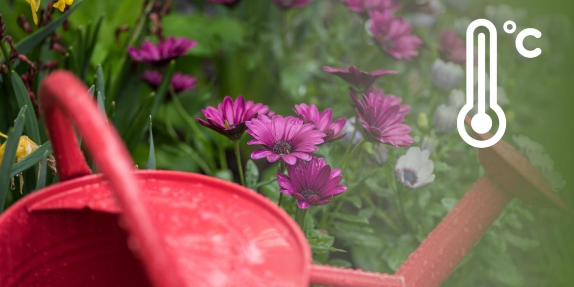 Травень почнеться з «мінусів» сильні нічні морози Вінниччину ще не залишили