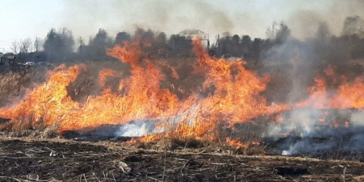 Три пожежі в екосистемах сталися за добу на Вінниччині