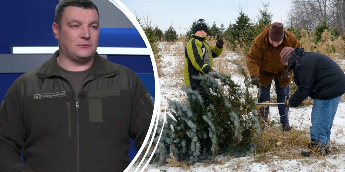 Триває спеціальна природоохоронна операція під назвою Новорічна ялинка