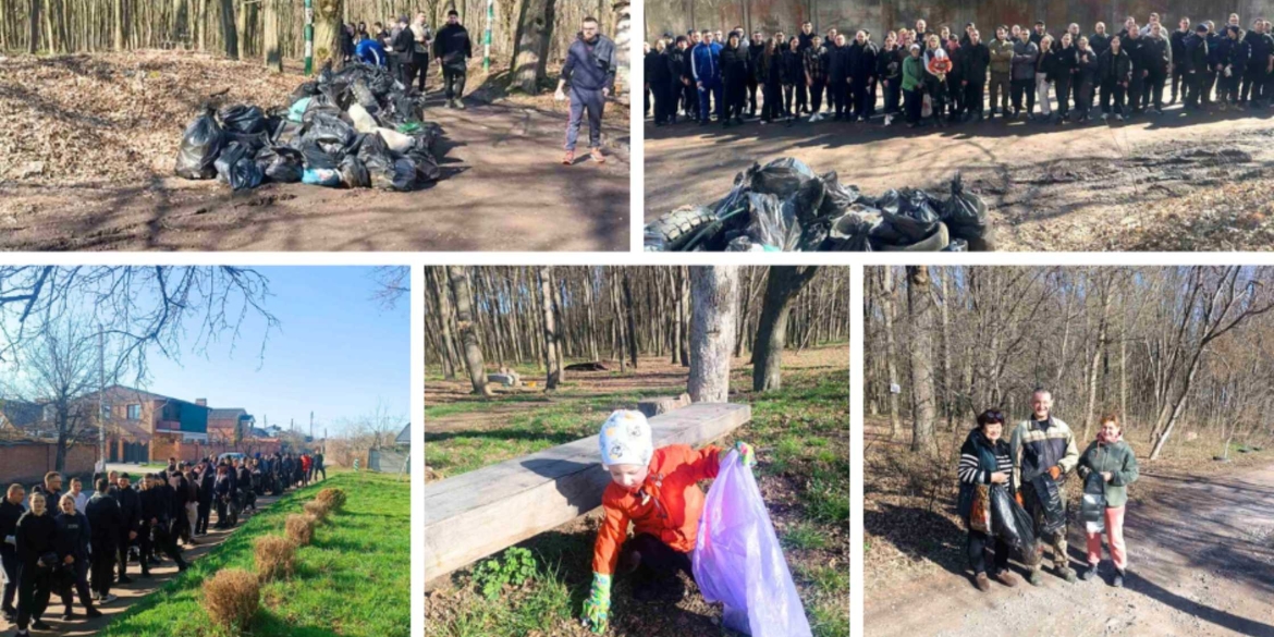 Тривають весняні толоки в приватному секторі Вінницької громади