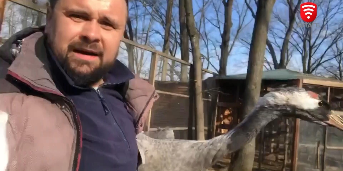 Тварини будуть жити - з Харківського екопарку евакуюють звірів
