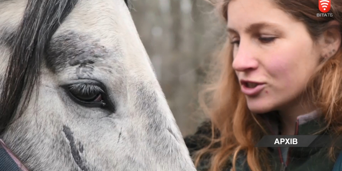 Тварини та війна: як рятують коней у Вінниці