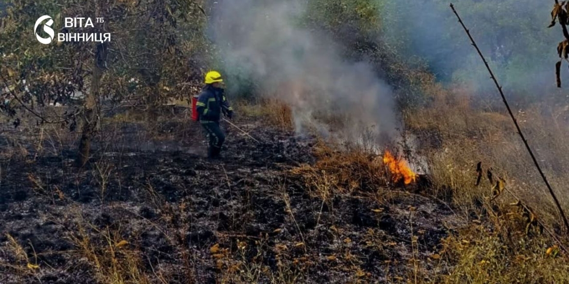 У чотирьох районах Вінниччини за добу горіла суха трава — причина та наслідки