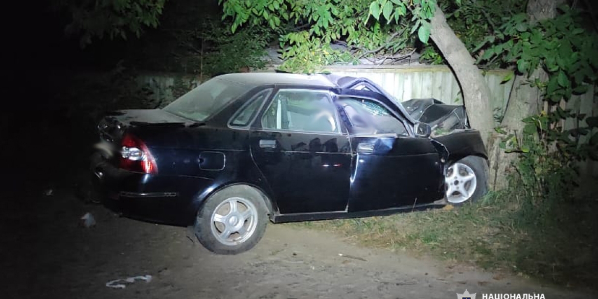 У Гайсинському районі 14-річний водій вночі протаранив дерево