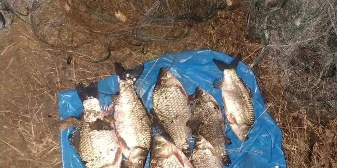 У Гайсинському районі чоловік сітками ловив рибу - збитки майже 15 тис. грн