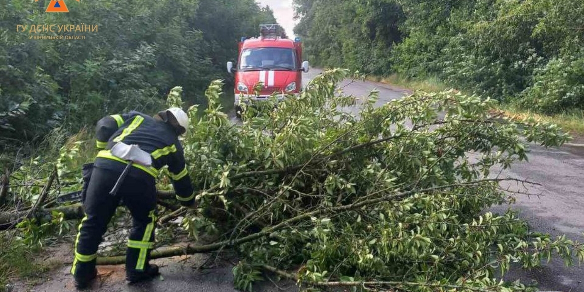 У Гайсинському районі повалене вітром дерево перегородило дорогу