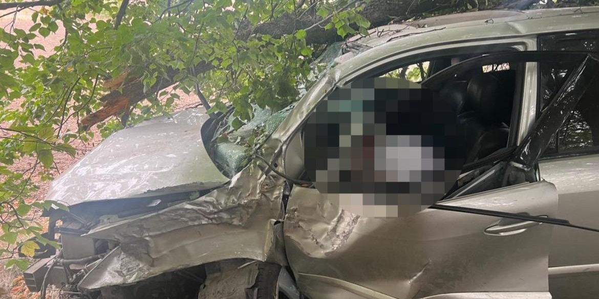 У Гайсинському районі в ДТП загинула водійка Lexus