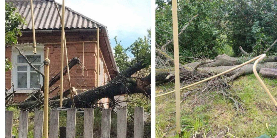 У Гайсинському районі дерево впало на газопровід