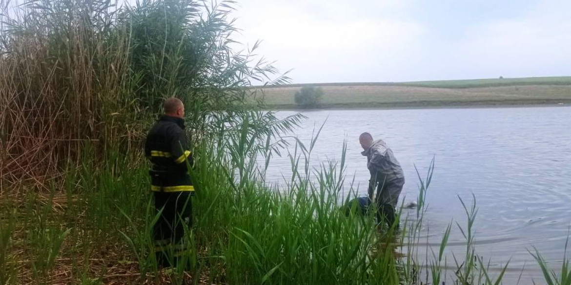 У Гайсинському районі в ставку втопився невідомий