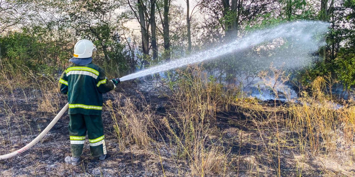 У Гайсинському районі вогонь обпалив ґрунт на площі 2,7 га