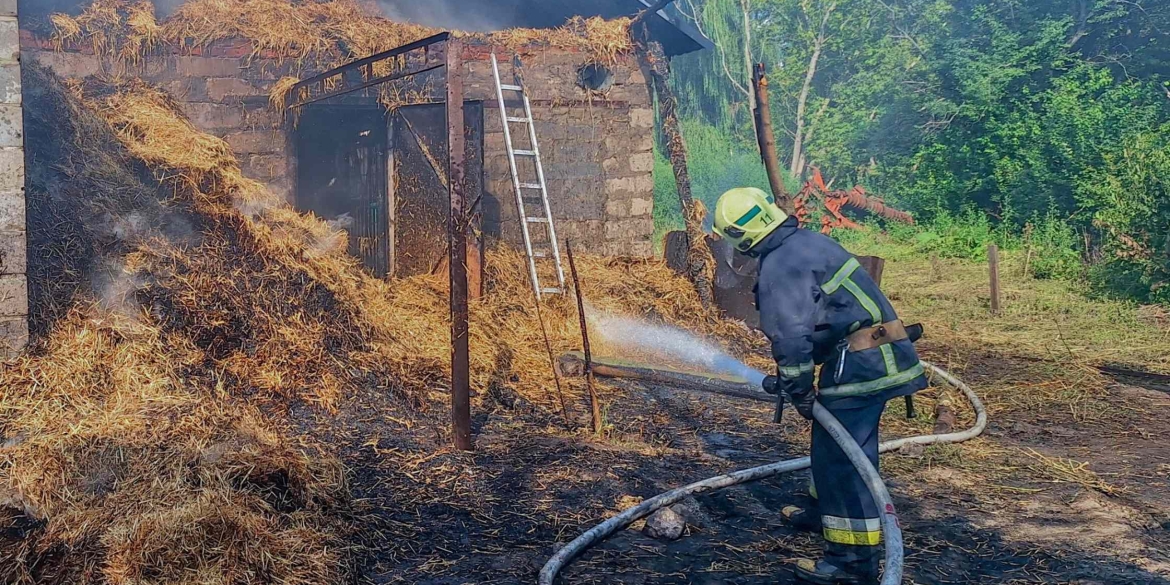 У Гайсинському районі вогонь охопив 2,5 гектара землі