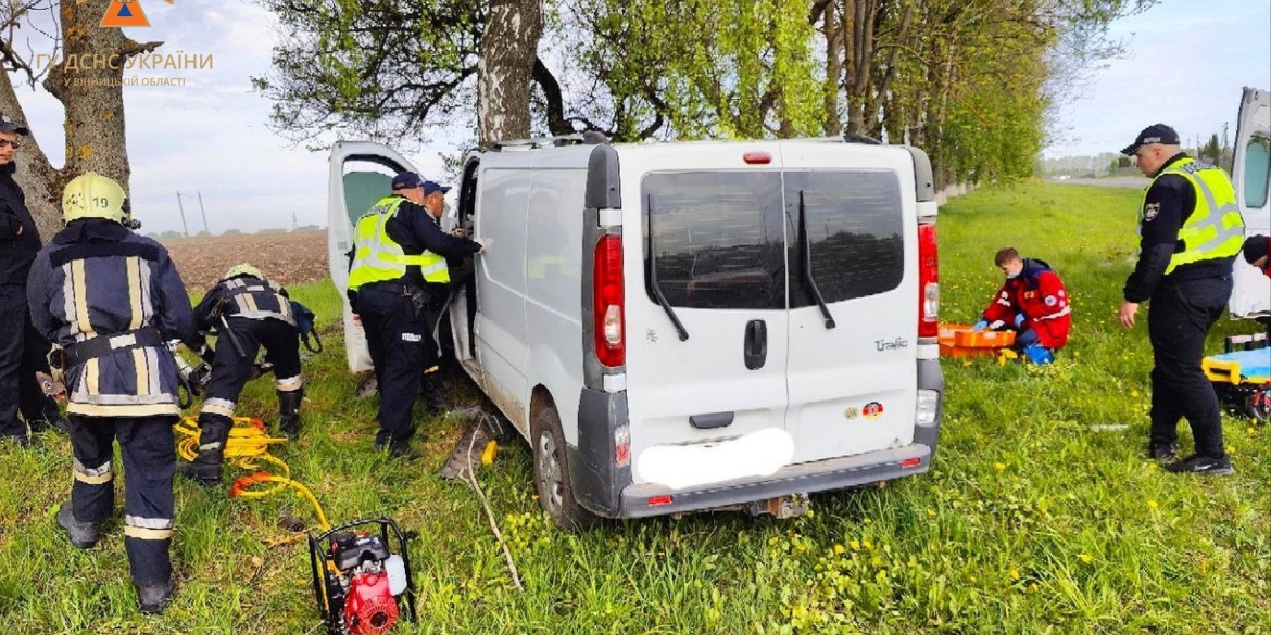 У Калинівці водій Renault Trafic таранив березу, щоб уникнути ДТП з іншим авто