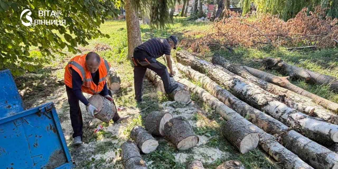 У Калинівській громаді заготовляють дрова для комунальних закладів
