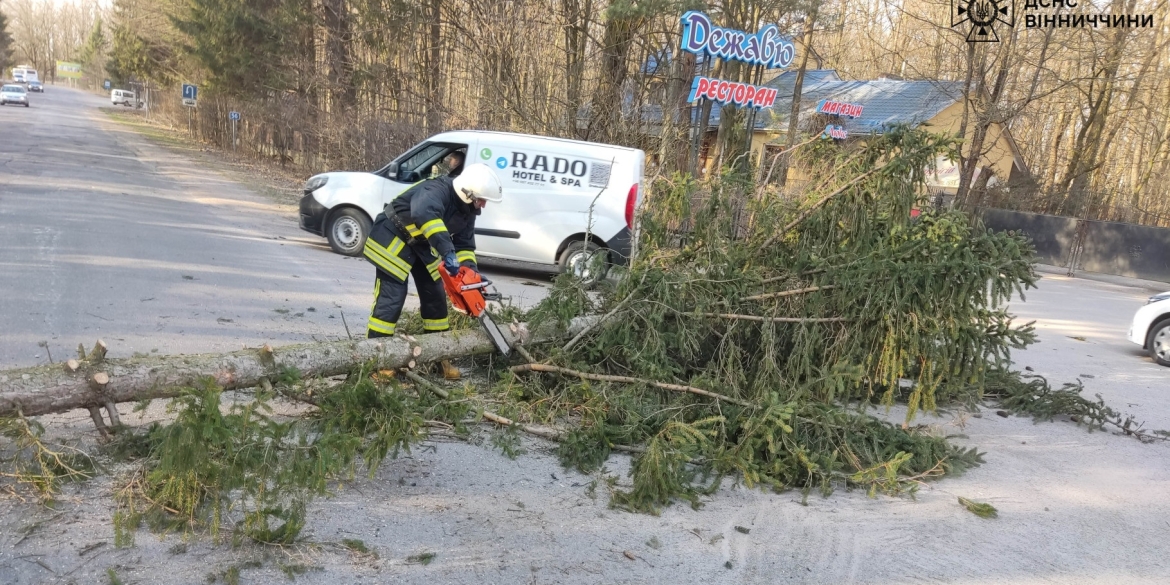 У Хмільнику рятувальники прибрали з автошляху повалене деревоУ Хмільнику рятувальники прибрали з автошляху повалене дерево