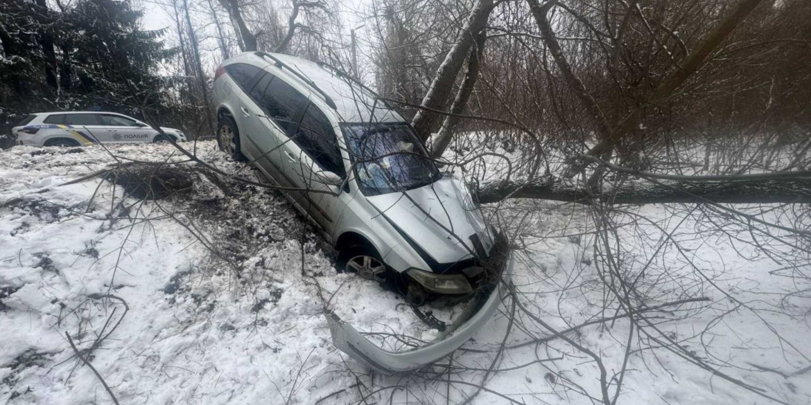 У Хмільнику автомобіль з’їхав у кювет – постраждали двоє дітей