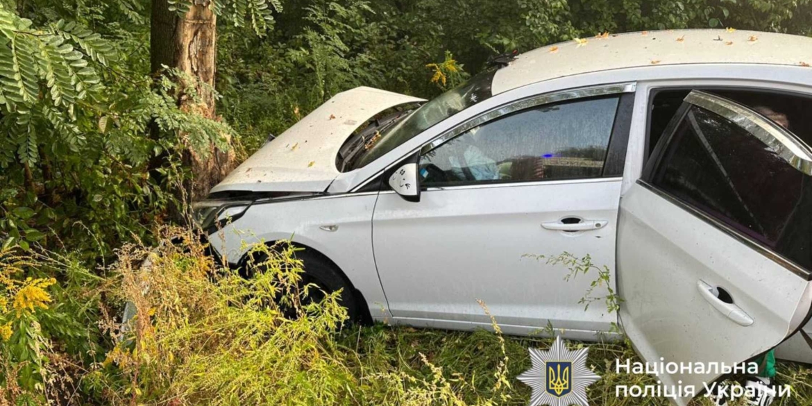 У Хмільницькому районі автомобіль Hyundai з’їхав у кювет та зіткнувся з деревом