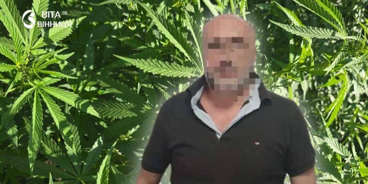 У Хмільницькому районі під домашній арешт відправили чоловіка, який у горщиках вирощував коноплі