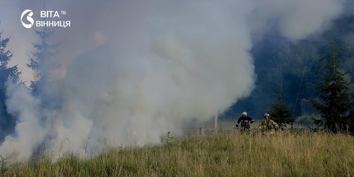 У Козятинській громаді згорів автомобіль, припаркований на узбіччі