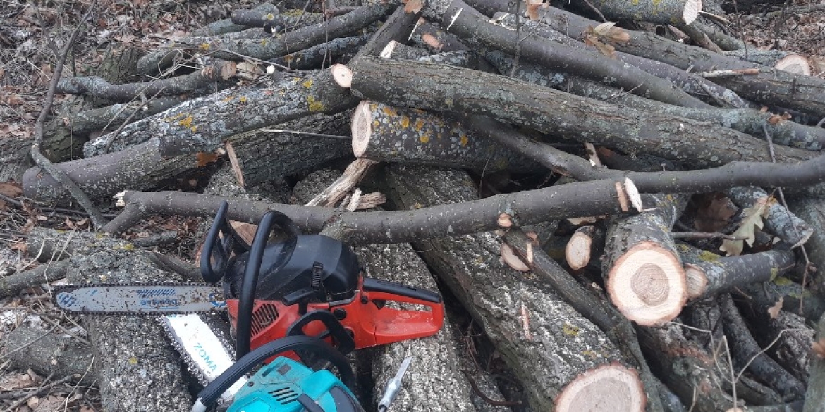 У Крижопільській громаді п'ятеро молодиків незаконно "чистили" дерева