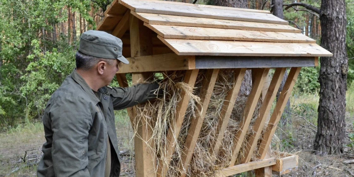 У лісах Вінниччини побільшало годівниць для тварин