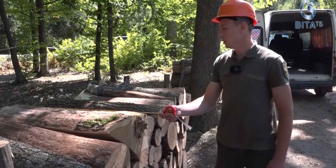 У лісництвах Вінниччини в розпалі заготівля деревини до опалювального сезону