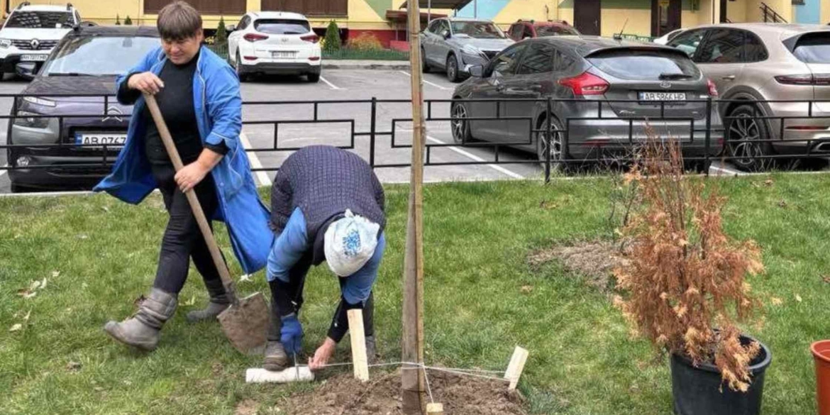 У межах осінньої кампанії з висадки дерев озеленили близько сотні дворів Вінниці