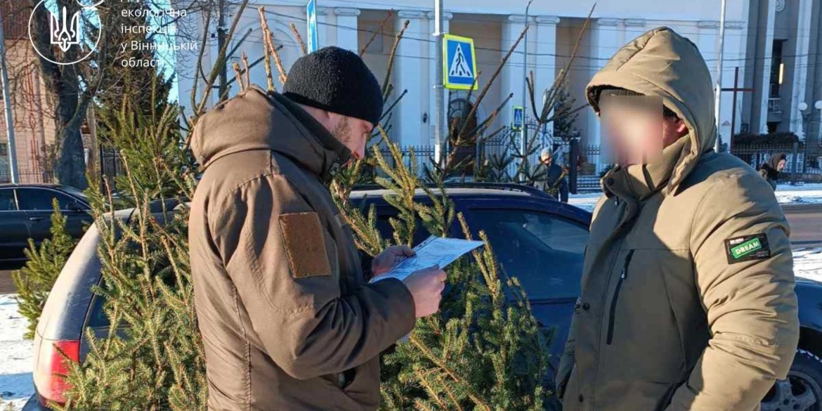 У Немирові виявили незаконний продаж новорічних ялинок