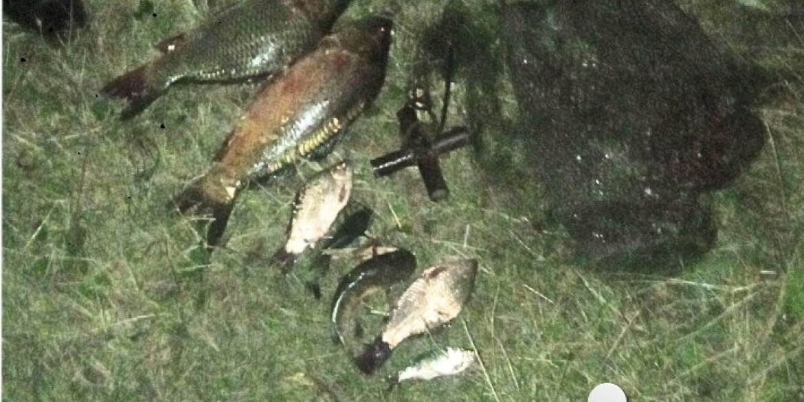 У Погребищі "на гарячому" спіймали браконьєра - ловив рибу "хваткою"