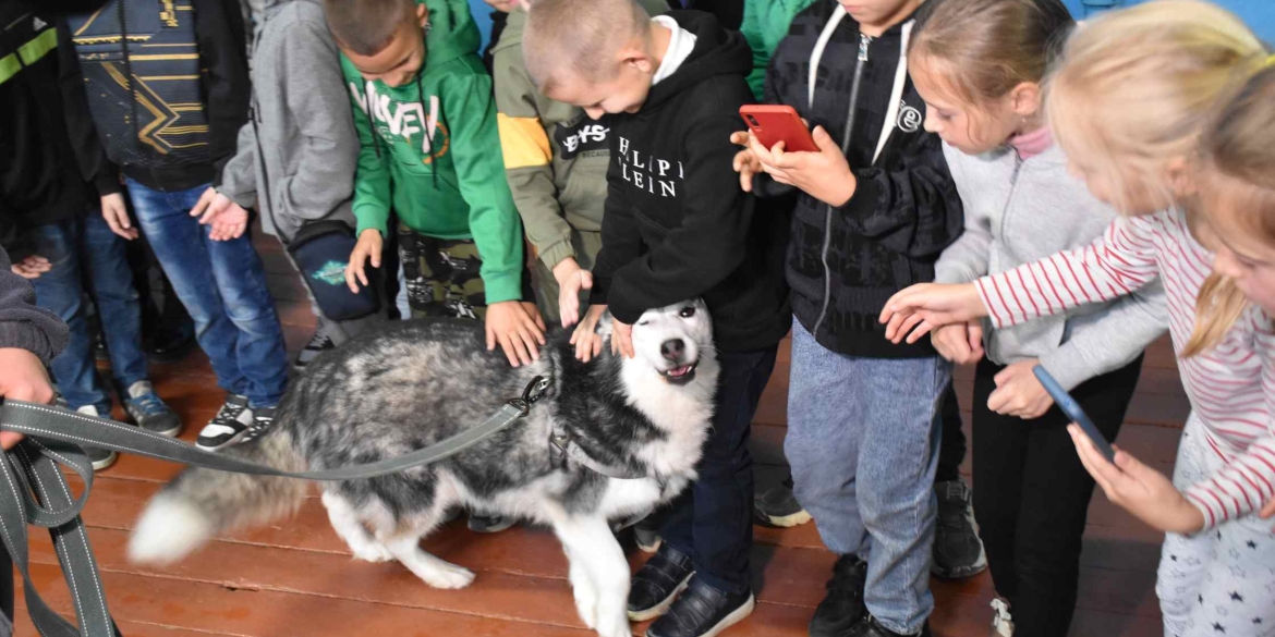 У Писарівці та Вінницьких Хуторах влаштували благодійний захід до Міжнародного дня захисту тварин
