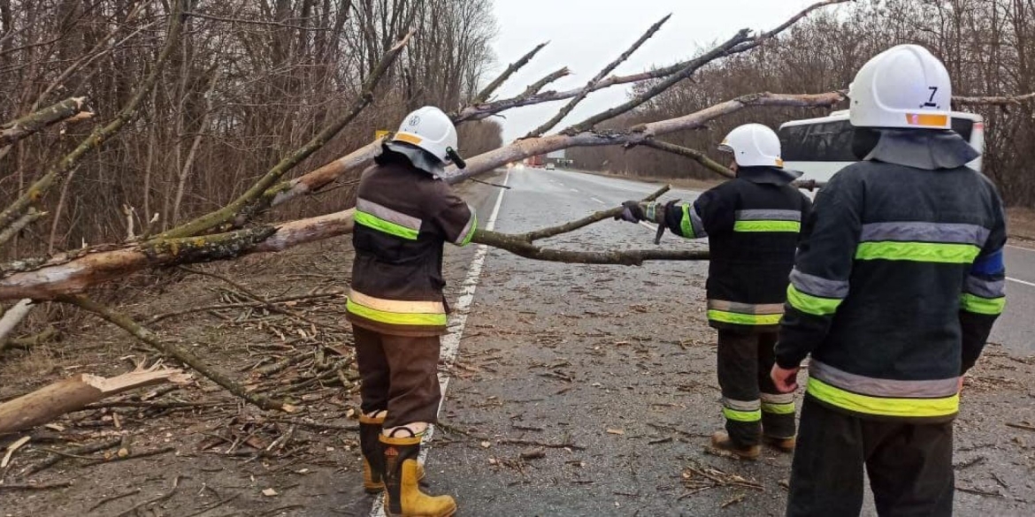 У трьох районах Вінниччині вітер валив дерева на автошляхи