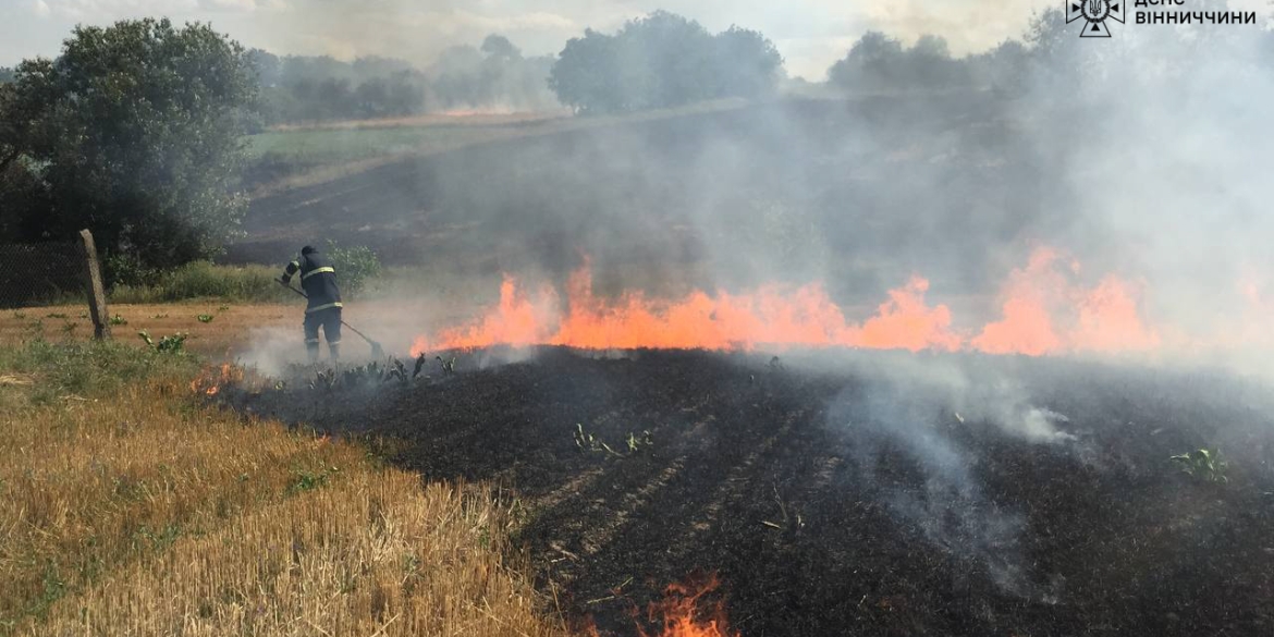 У трьох районах Вінниччини горіли суха трава, стерня та сміття