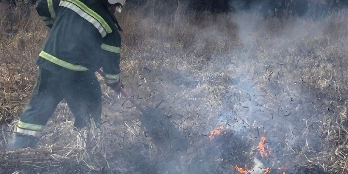 У Тростянецькій та Іллінецькій громадах загасили пожежі в екосистемах