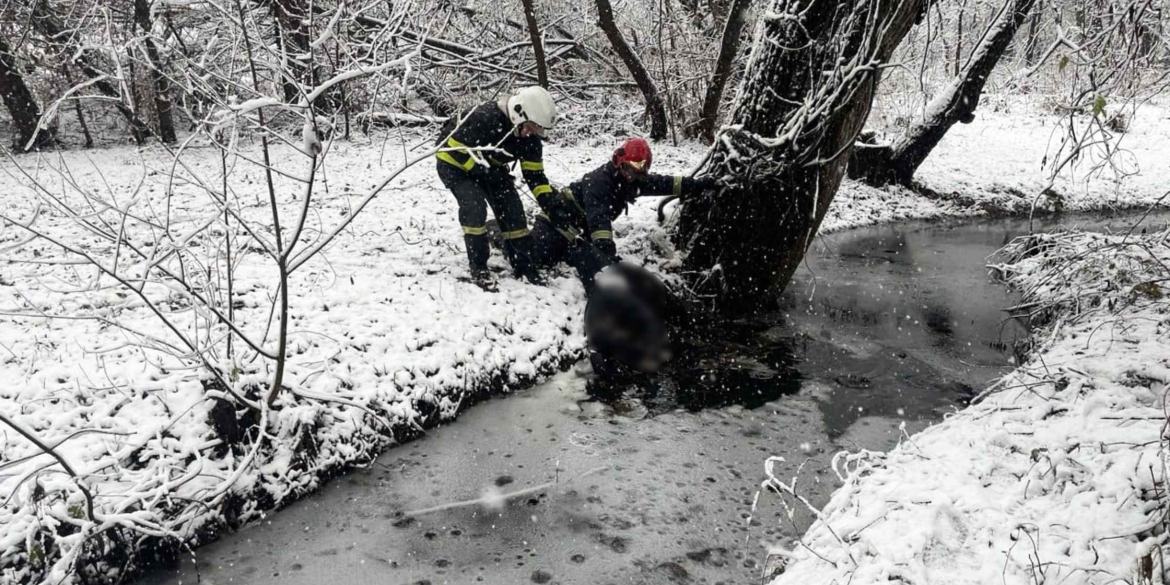 У Тростянецькій громаді на берег підняли потопельника