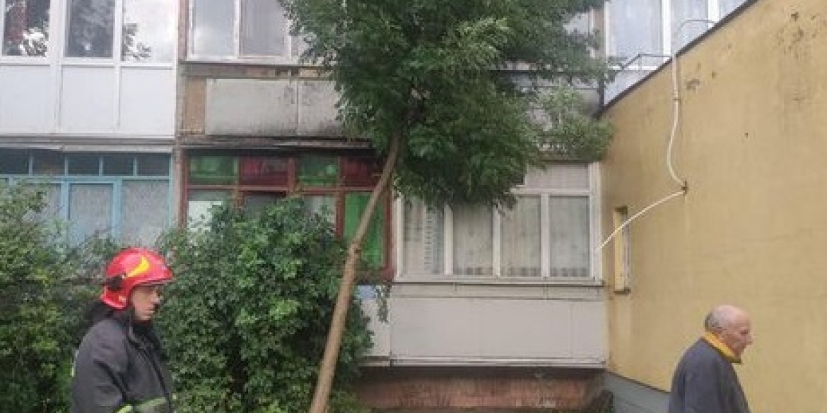 У Вінниці через сильний вітер впало дерево на один із житлових будинків