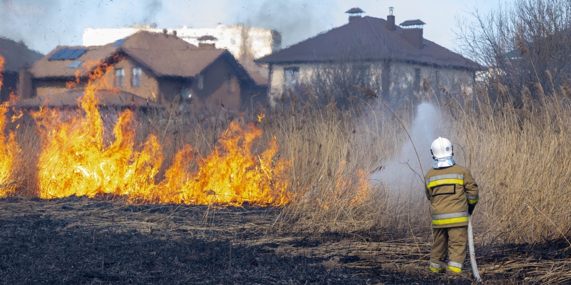 У Вінниці на березі Вишенського озера підпалили очерет